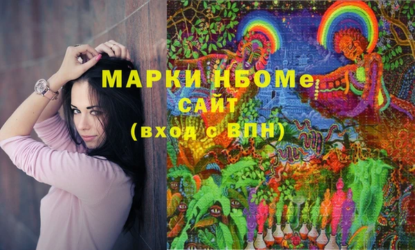 СК Инсар