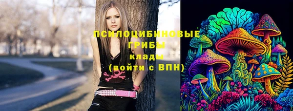 СК Инсар