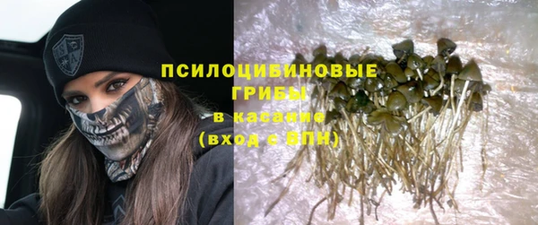 стафф Иннополис