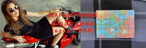 стафф Иннополис