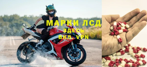 стафф Иннополис