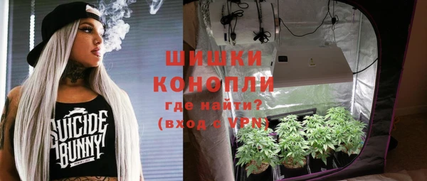 стафф Иннополис