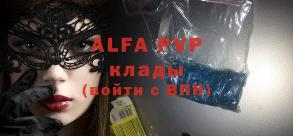 стафф Иннополис