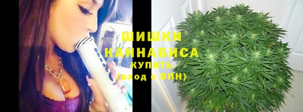 СК Инсар