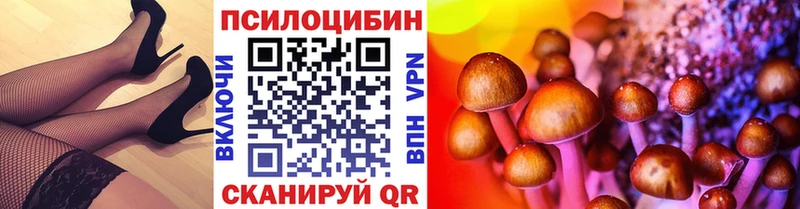 Псилоцибиновые грибы Cubensis  Купить  Туймазы 